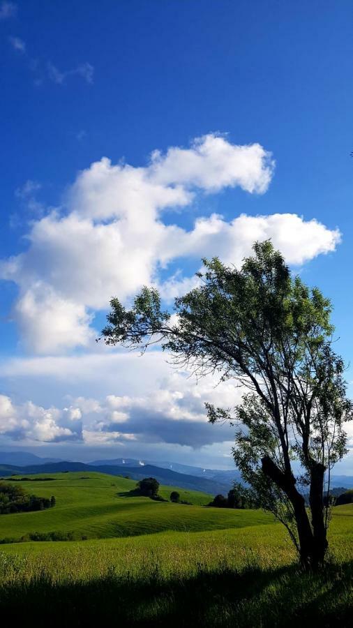 Bed and Breakfast Borgo Fontaccia San Gimignano Exterior foto